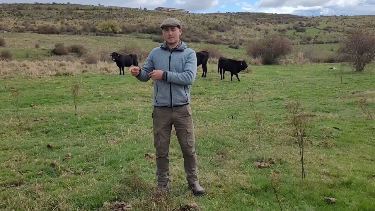 Should Cattle Farmers Go For Quality Or Quantity?