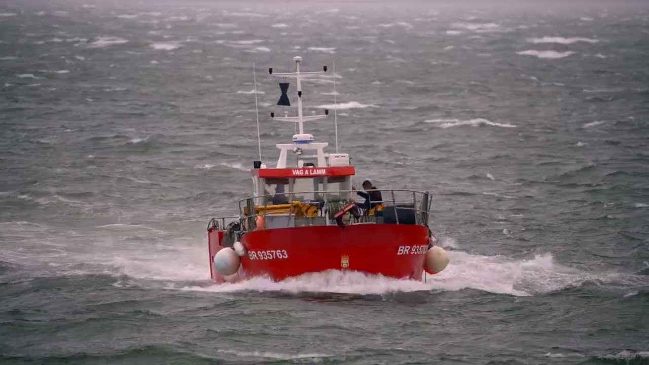 Brest M'aime: La tempête