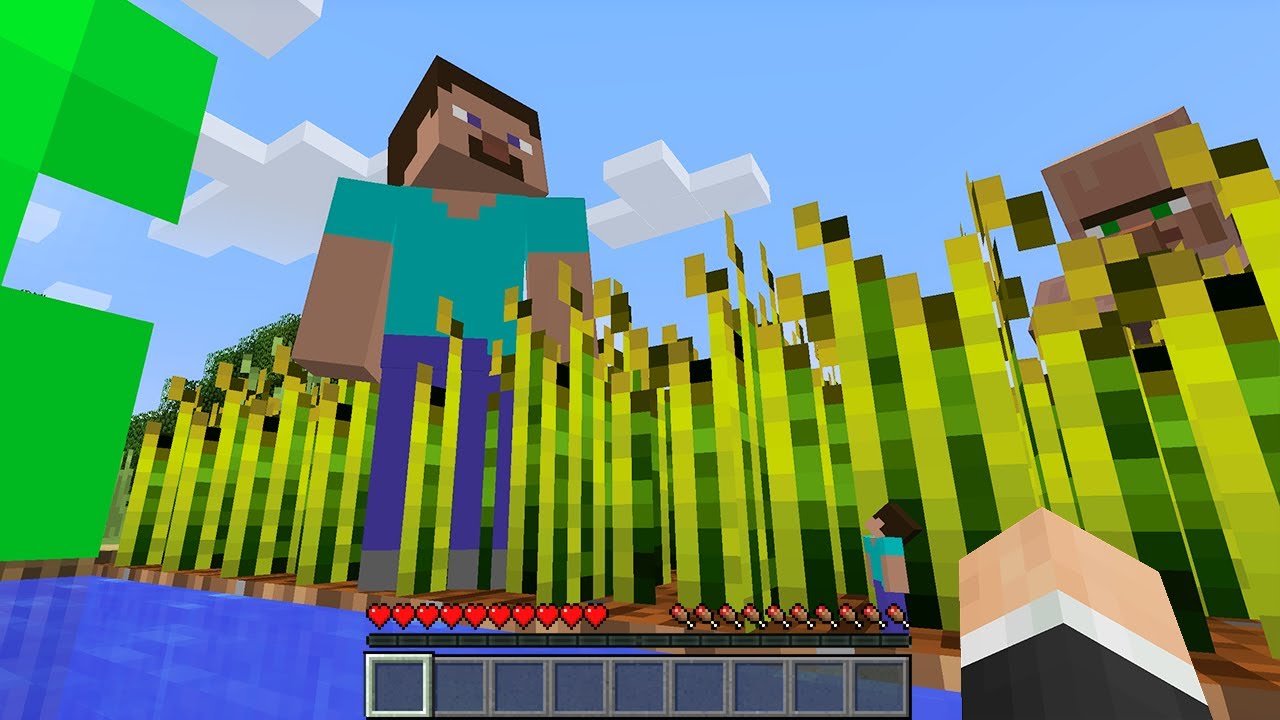 So I secretly was ᵗᶦⁿʸ in Minecraft HIDE & SEEK...