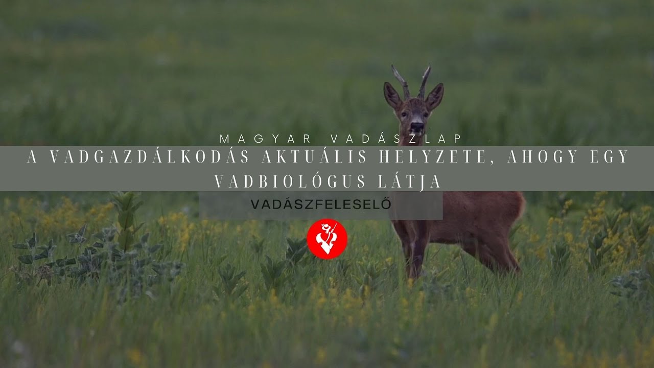 Vadászfeleselő 3/19. - A vadgazdálkodás aktuális helyzete, ahogy egy vadbiológus látja