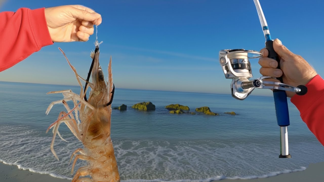 Secret Spot On A Public Beach (Florida Saltwater Fishing With Shrimp)