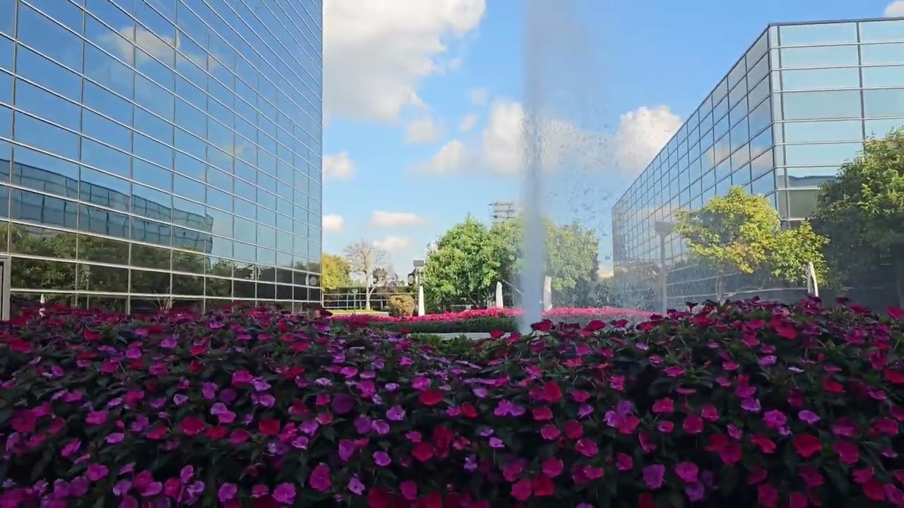 Fountain #fountain #flowers #meditation #meditationtechniques #meditationwalk