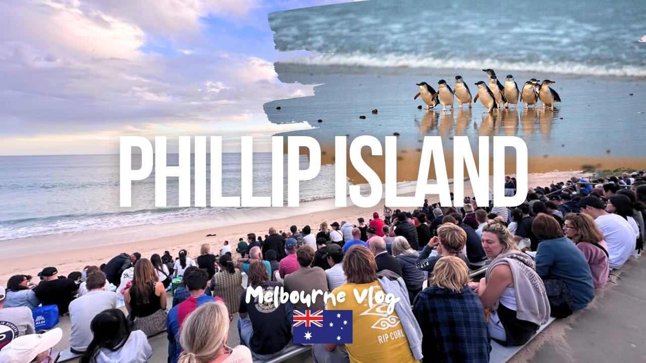 Phillip Island Penguin Parade: A Magical Wildlife Experience! 🐧✨