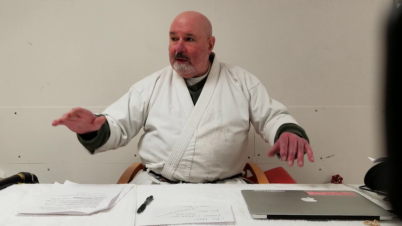 American Combato | A Lesson From Classical Karate | Bradley J. Steiner