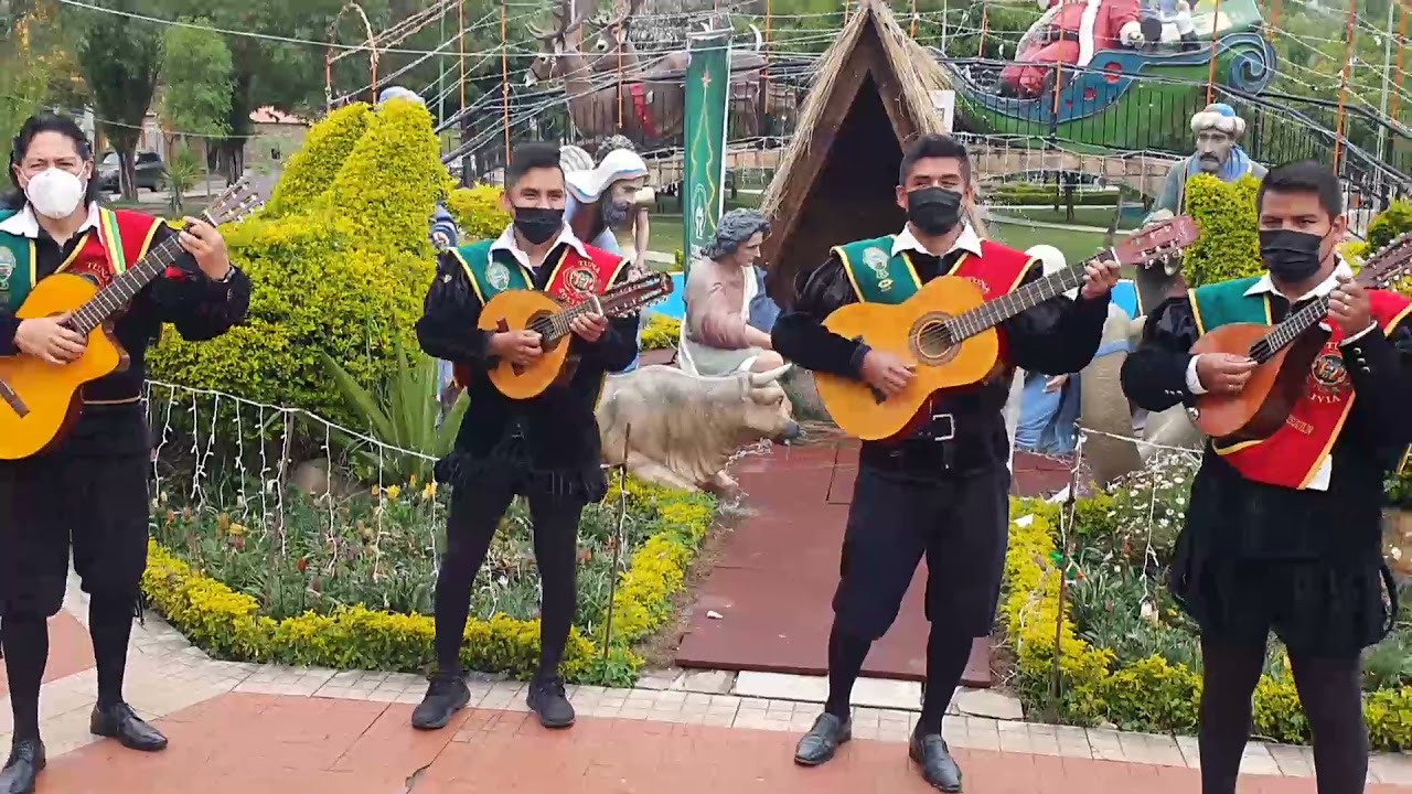 CANTAN LAS AVES (DD.RR.)
