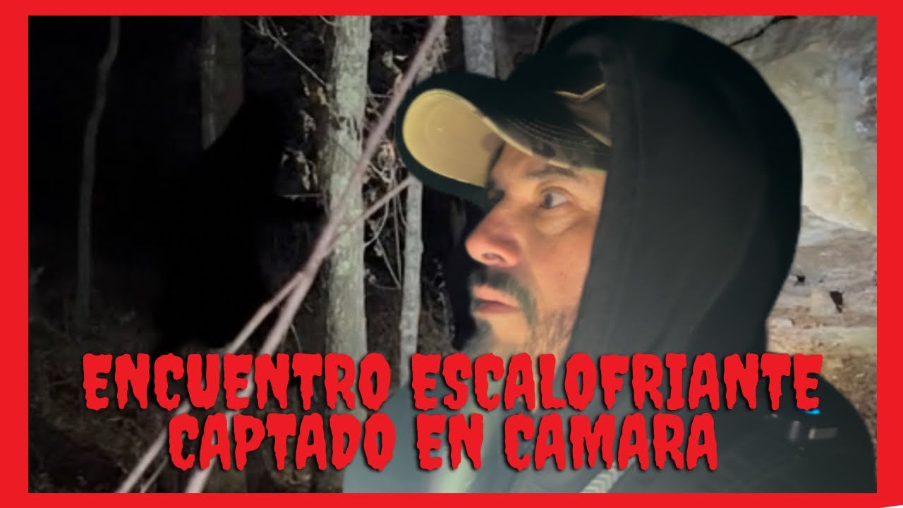 Encuentro escalofriante captado en cámara 