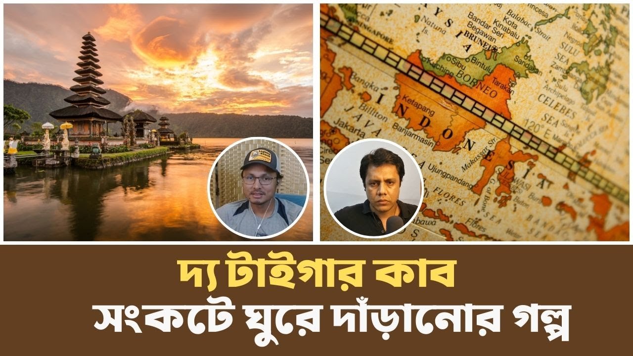ইন্দোনেশিয়ার উদীয়মান অর্থনৈতিক বাঘ | The Tiger Cub Economy | Podcast |