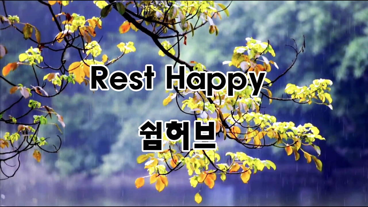 비 오는 숲 소리 🌧️ 깊은 휴식 | 힐링 자연 ASMR Rest Happy 쉼허브