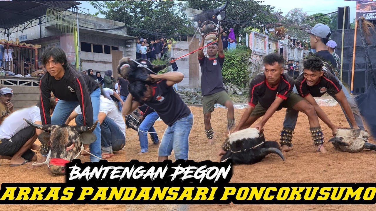 ARKAS PANDANSARI PONCOKUSUMO kalap brutal