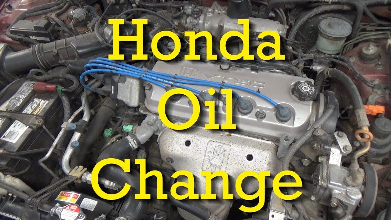 Honda Accord Oil and Filter Change 1997 2.2L (1994-1997 Similar)