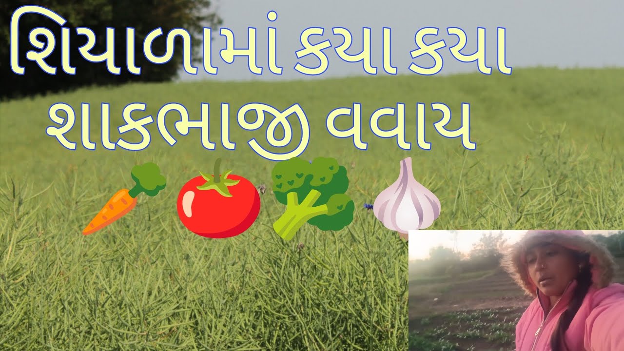 શિયાળામાં કયા કયા શાકભાજી વવાય 🥕🍅🥦🧄 Siyala ma Kya Kiya shakbhaji #threading #funnyvideos 