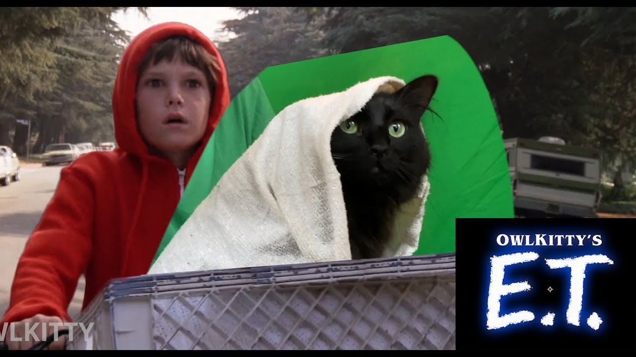 E.T. + My cat OwlKItty (Behind the Scenes)