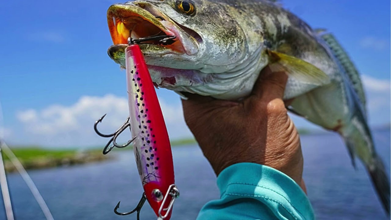TOP 5 SPECKLED TROUT LURES That DOMINATE Inshore Fishing PROVEN Winners!