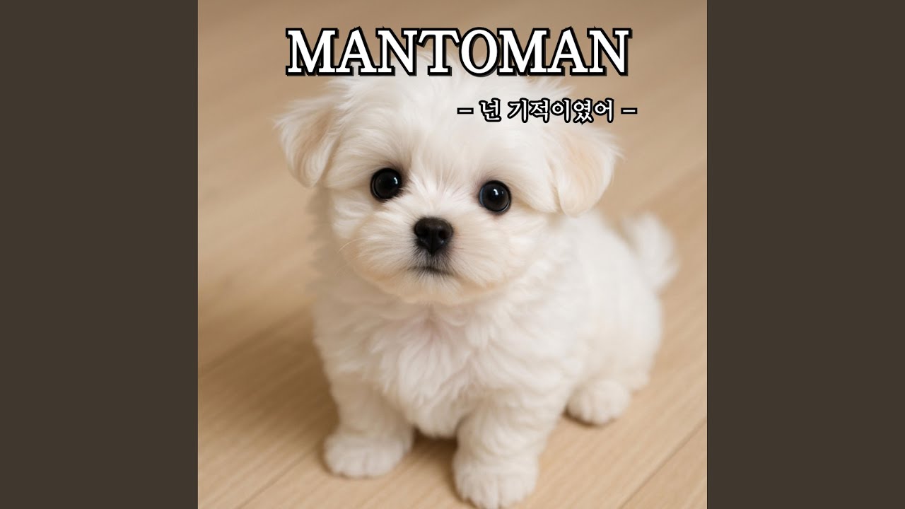 넌 기적이였어
