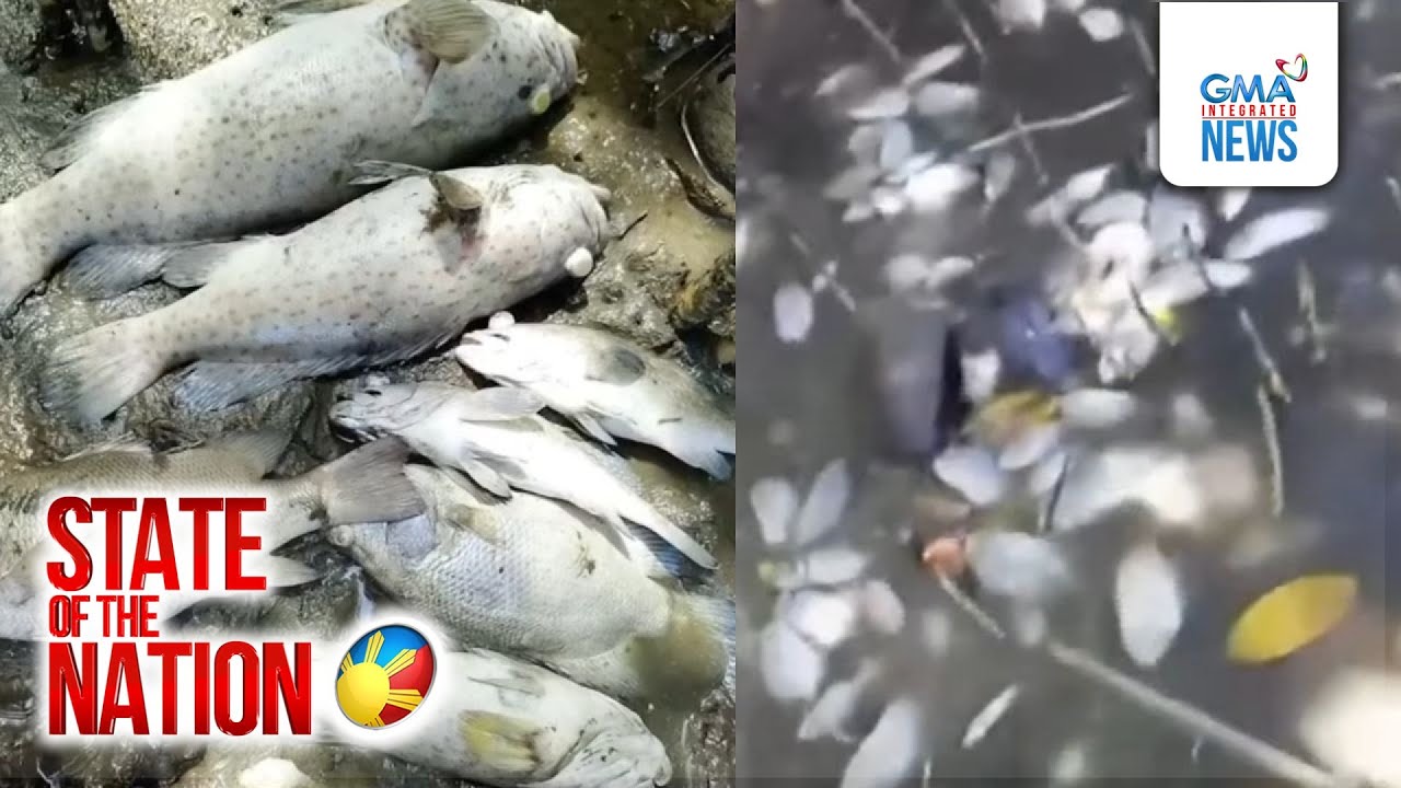 Sangkaterbang isda, patay sa chemical spill | SONA