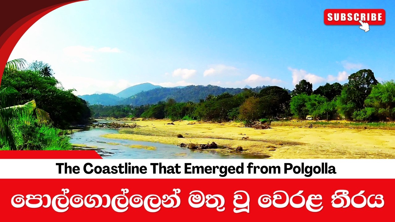   A Beach Born in Polgolla |  පොල්ගොල්ල වෙරළ 🤔 #nature #documentary #ditwah #trending #viral 