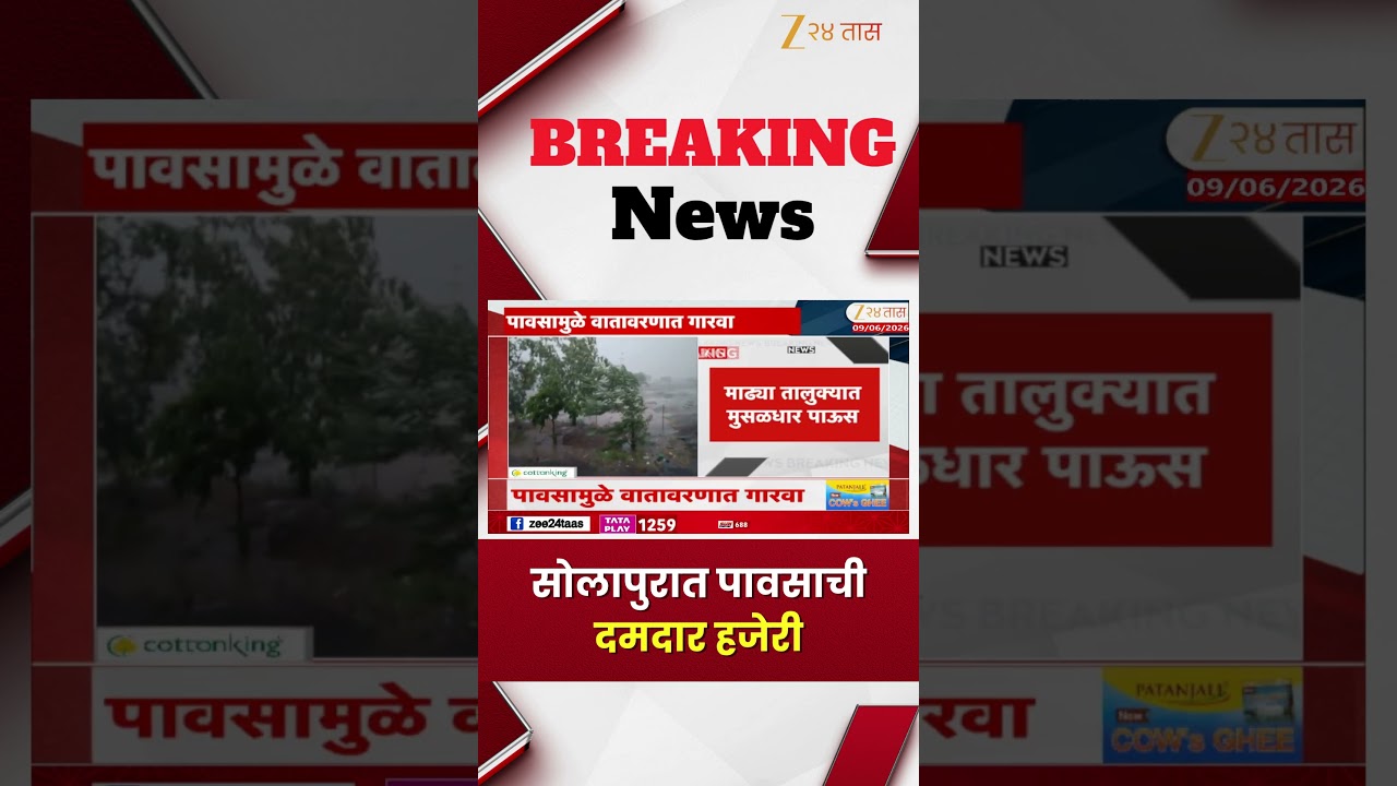Solapur Rain | सोलापुरात पावसाची दमदार हजेरी | Zee24Taas