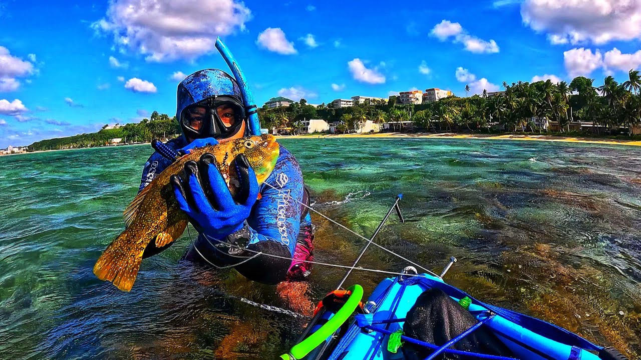 671 Guam 🇬🇺 Inshore Spearfishing behind James Takel closing Sale Giant Sea Grass Parrot Fish
