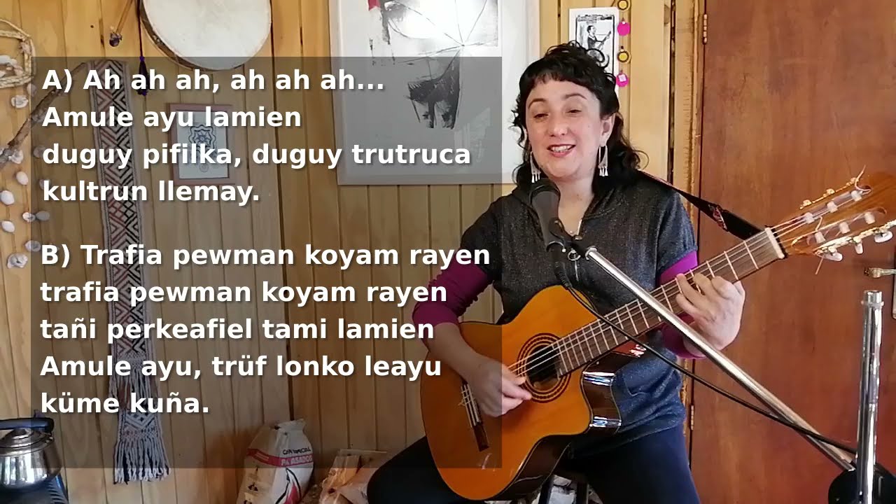 Ejercicio para 6tos años, üllkantu Trafía Pewmán (anoche soñé)