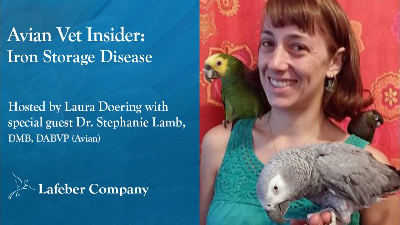 Avian Vet Insider 40: Iron Storage Disease