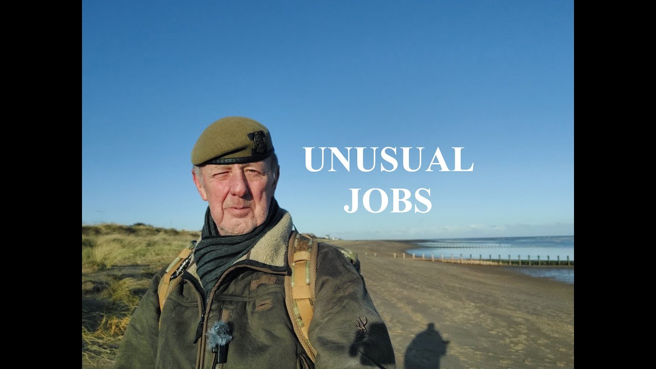 UNUSUAL JOBS