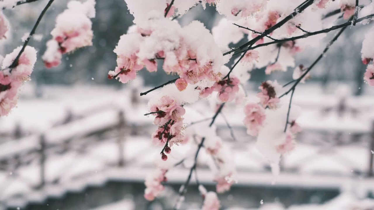 [독학] [작곡] [자작곡] - Frosty