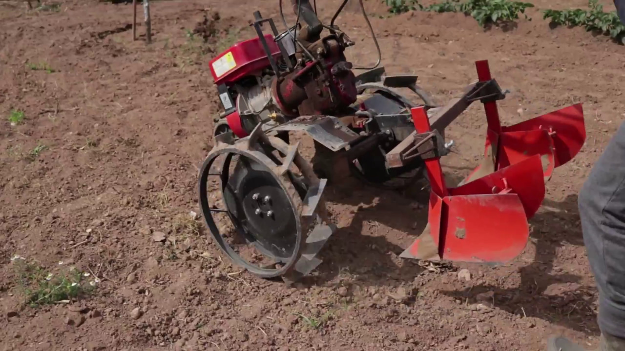 παράχωμα πατάτας (potato farming using double furrow ridger)