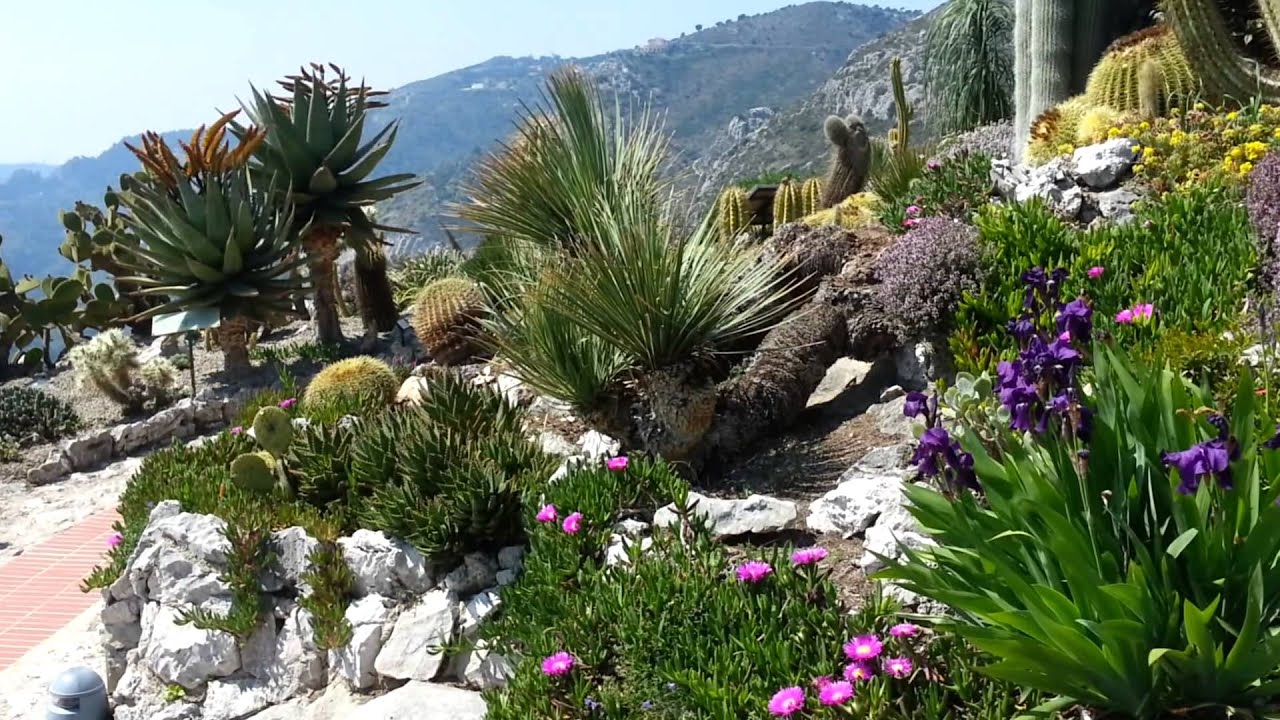 Jardin exotique d'Eze HD (musique La Symphonie du Nouveau Monde de Dvorak)