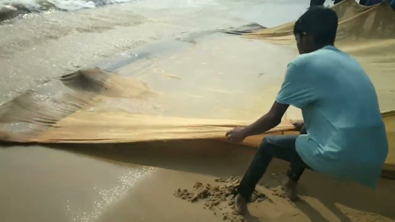 பெருவழியில  நல்ல மீன்
