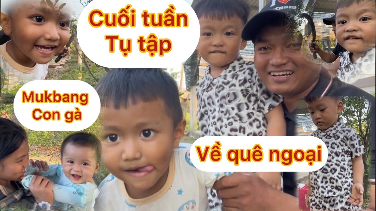 copy 5ADF92B4 3E97 4C30 buổi chiều làm gà