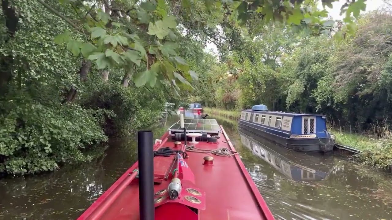 ASMR Just the sound of the amazing Gardner 2LW no talking just sound #Gardner2lw #asmr  #canal 