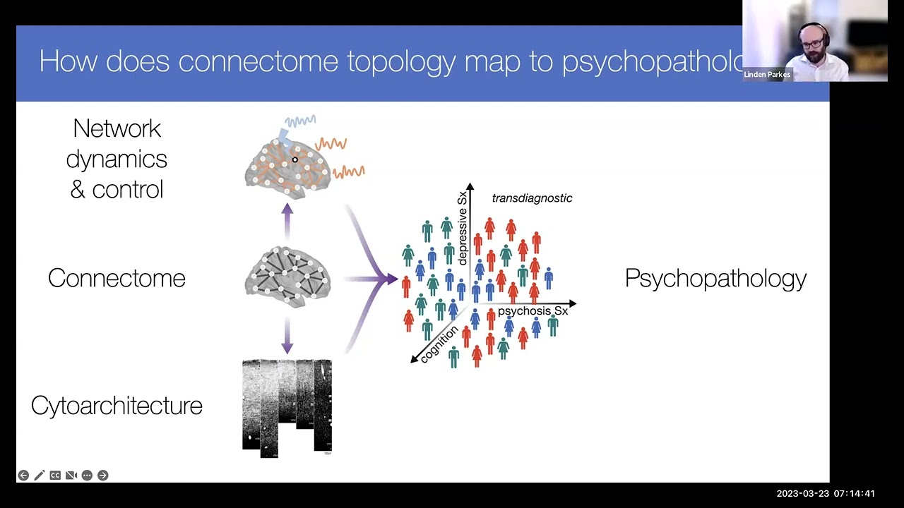 Linden Parkes: Asymmetric signaling across the hierarchy of cytoarchitecture in the human connectome
