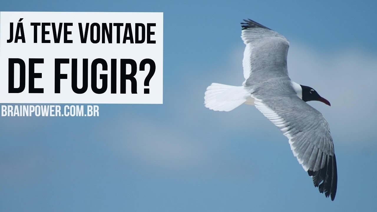 FUGIR dos Problemas te Deixa DISTANTE da Solução! | Academia Cerebral