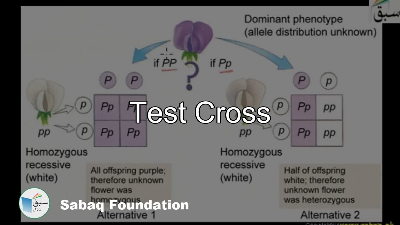 Test Cross, Biology Lecture | Sabaq.pk