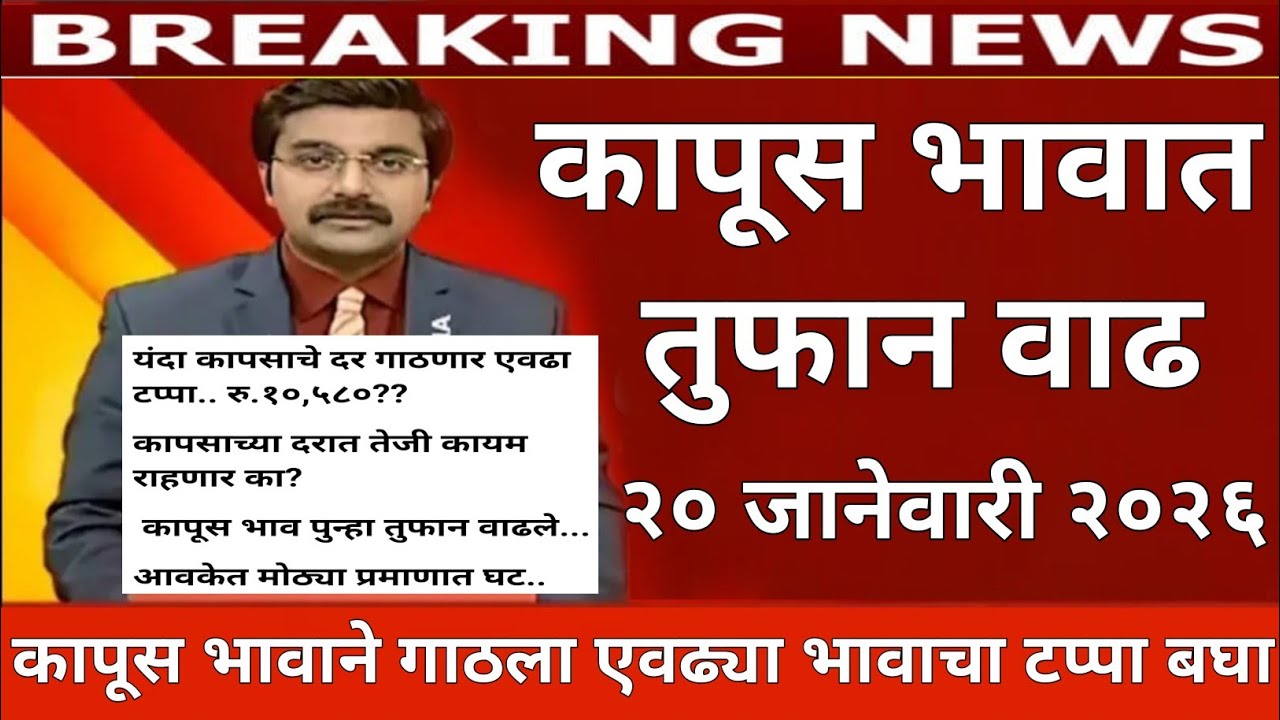 आजचे कापूस बाजार भाव |भाव तुफान वाढले |या जिल्ह्यात सर्वात जास्त भाव kapus bhav today | cotton rate