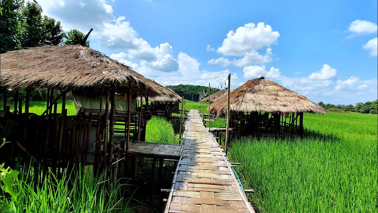 ร้านอาหารกลางนา ธรรมชาติ ณ แม่จัน | VchaiBlog