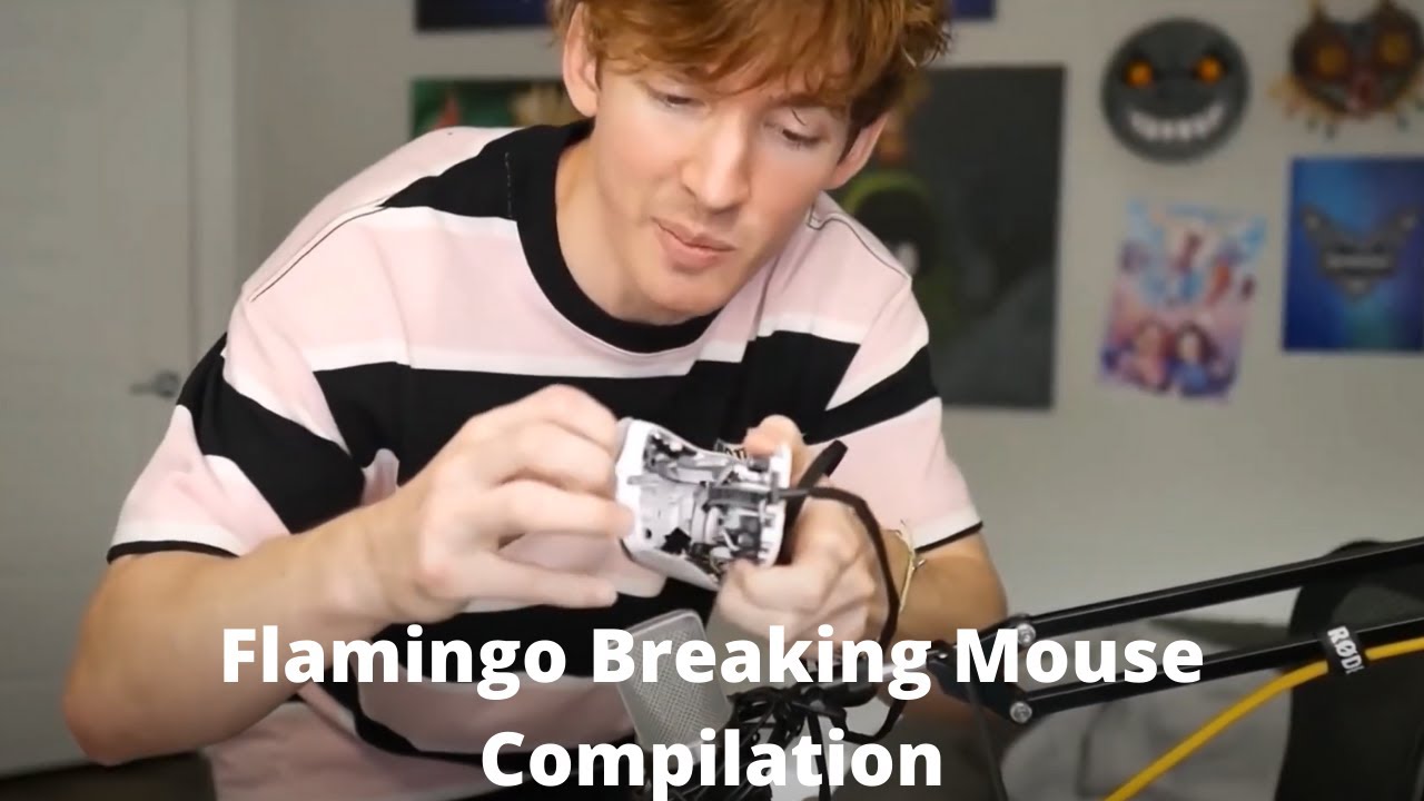 Flamingo Breaking Mouse Compilation