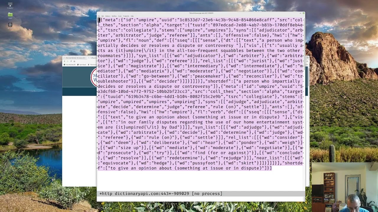 Learning Elisp 16 - using a web API