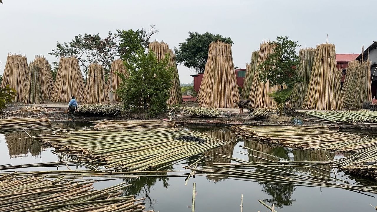 The Largest Bamboo Production and Manufacturing Process You've Ever Seen - Unique Bamboo Furniture