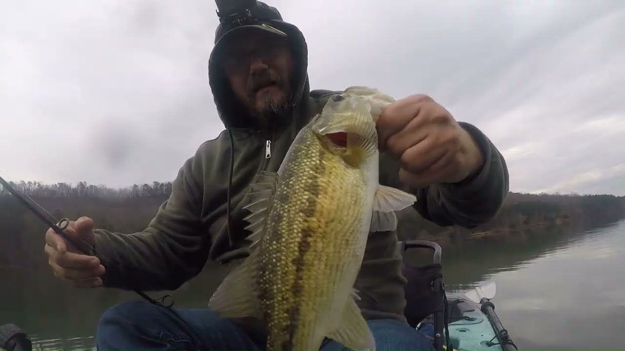 Big crank bait for a Big Bass