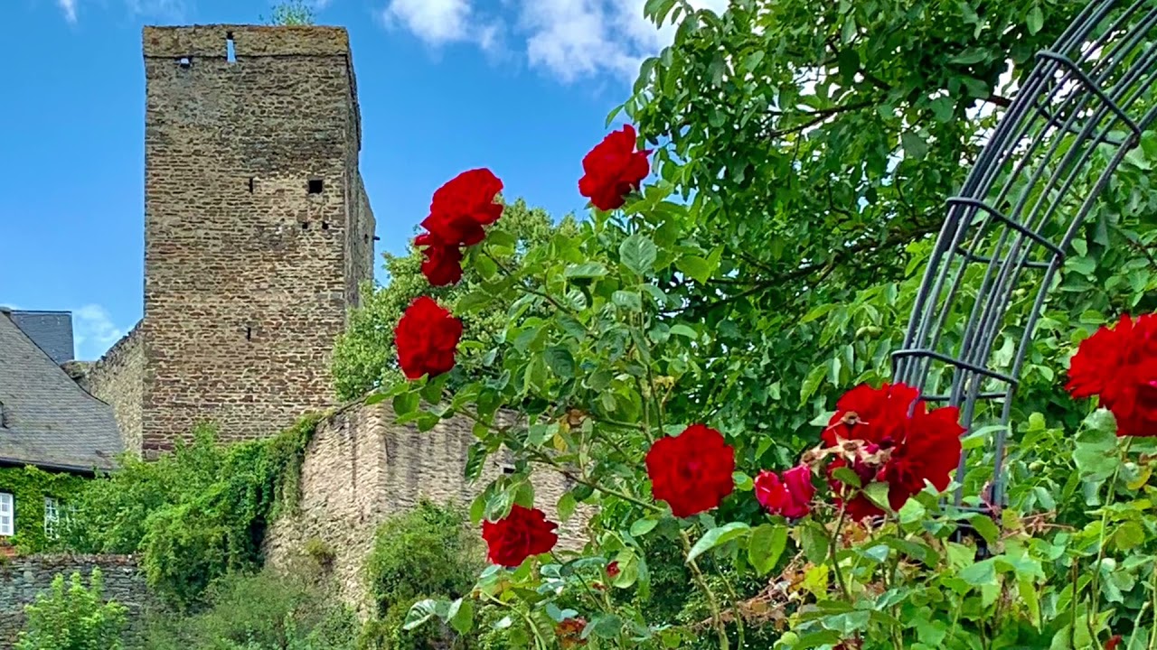 Burg Runkel☀️