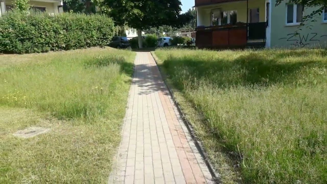 Ekowykaszanie trawnik&oacute;w - tylko po obrzeżach? Klimat, magazynowanie wody, ochrona przyrody