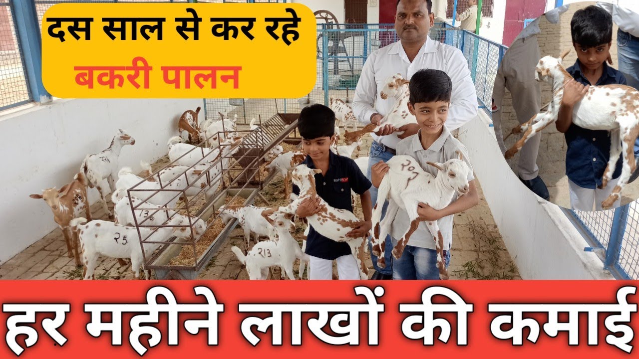हर महीने लाखों की कमाई - Star Goat Farming in india