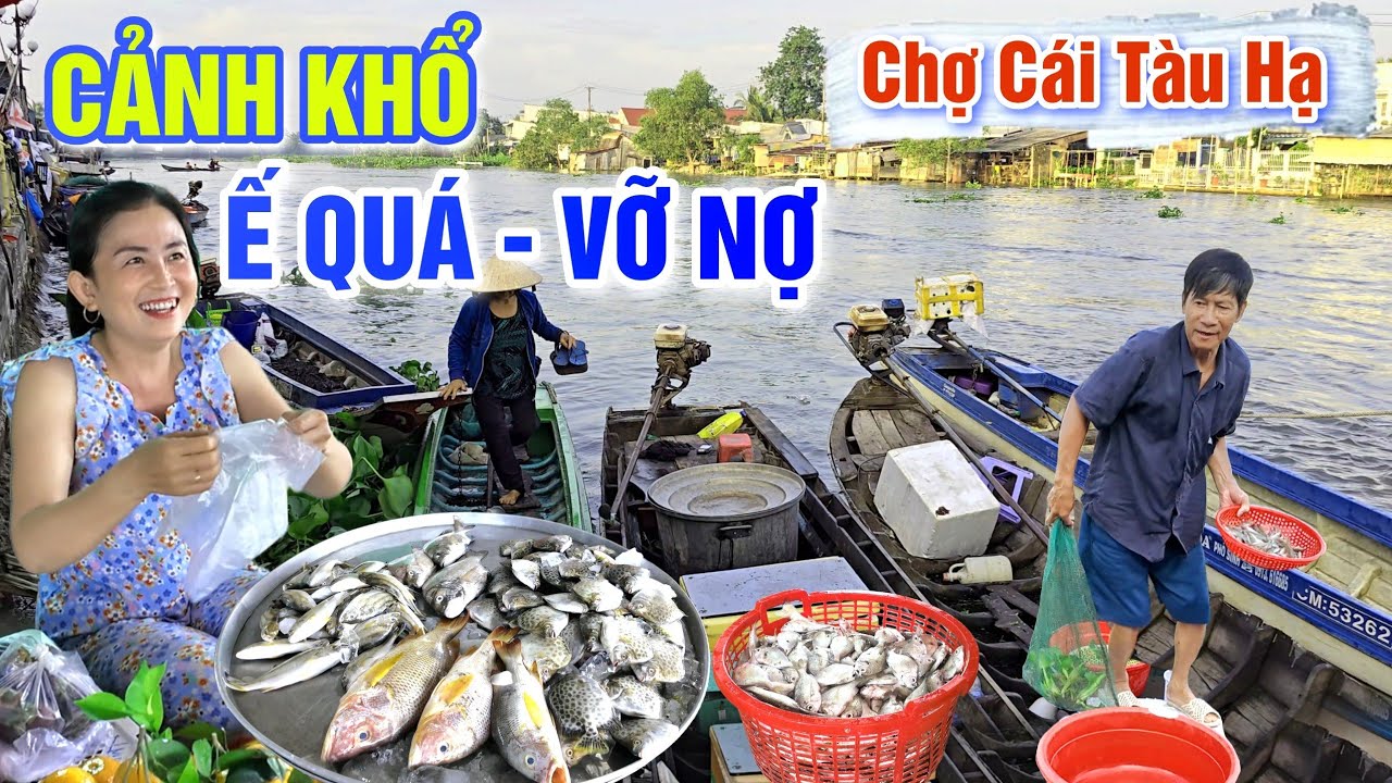 CẢNH KHỔ NGƯỜI NGHÈO, BỎ SẠP VỠ NỢ CHƯA TỪNG THẤY Ở CHỢ CÁI TÀU HẠ