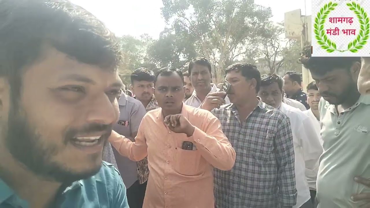 Shamgarh Mandi bhav 23 February , 2026