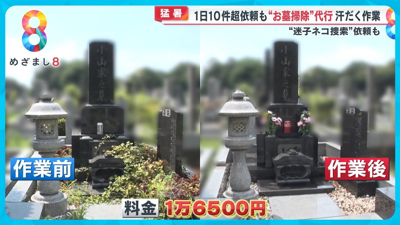 猛暑の中、代行サービスに依頼殺到 &ldquo;お墓掃除&rdquo;代行は1日10件以上の依頼も&hellip;【めざまし８ニュース】
