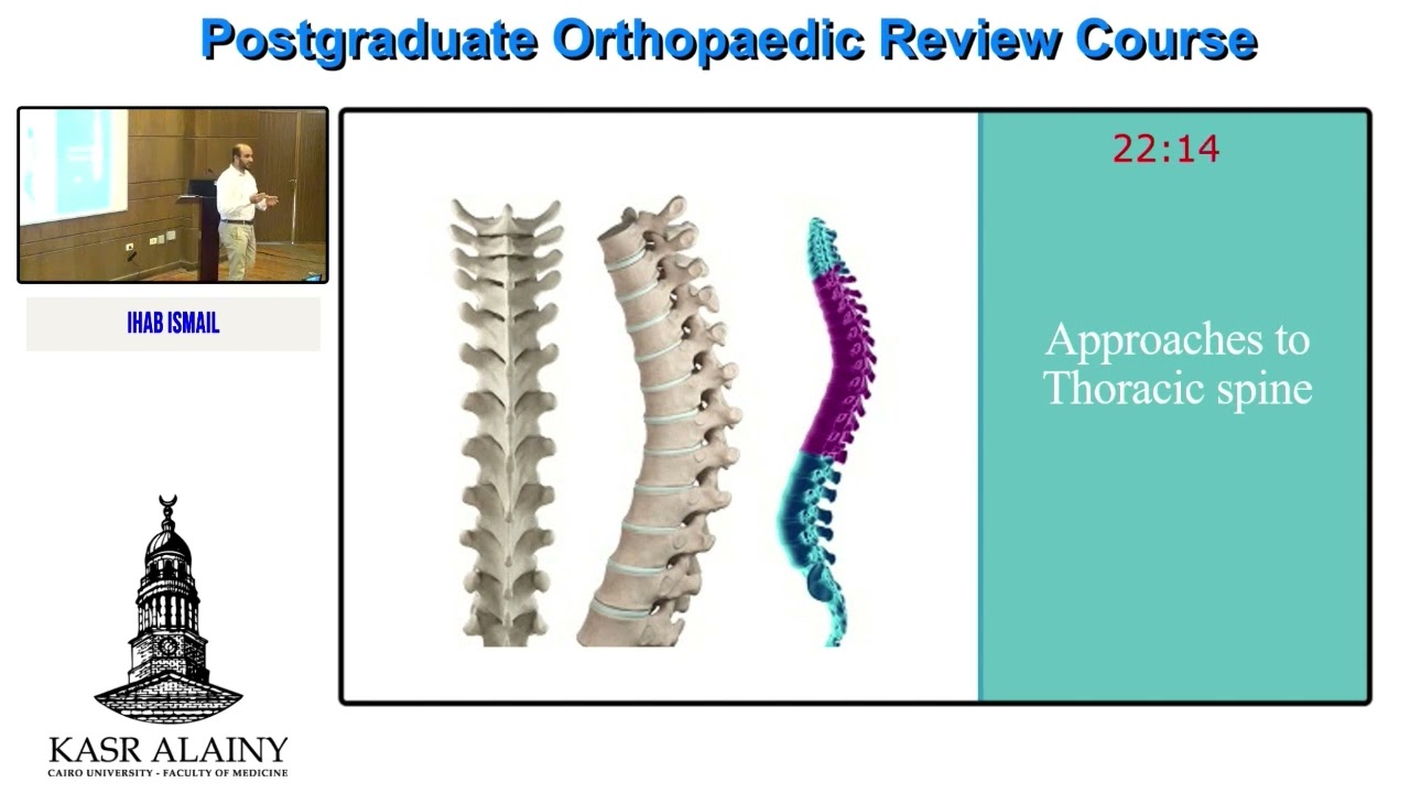 10  Spine Approaches   Ihab Ismail
