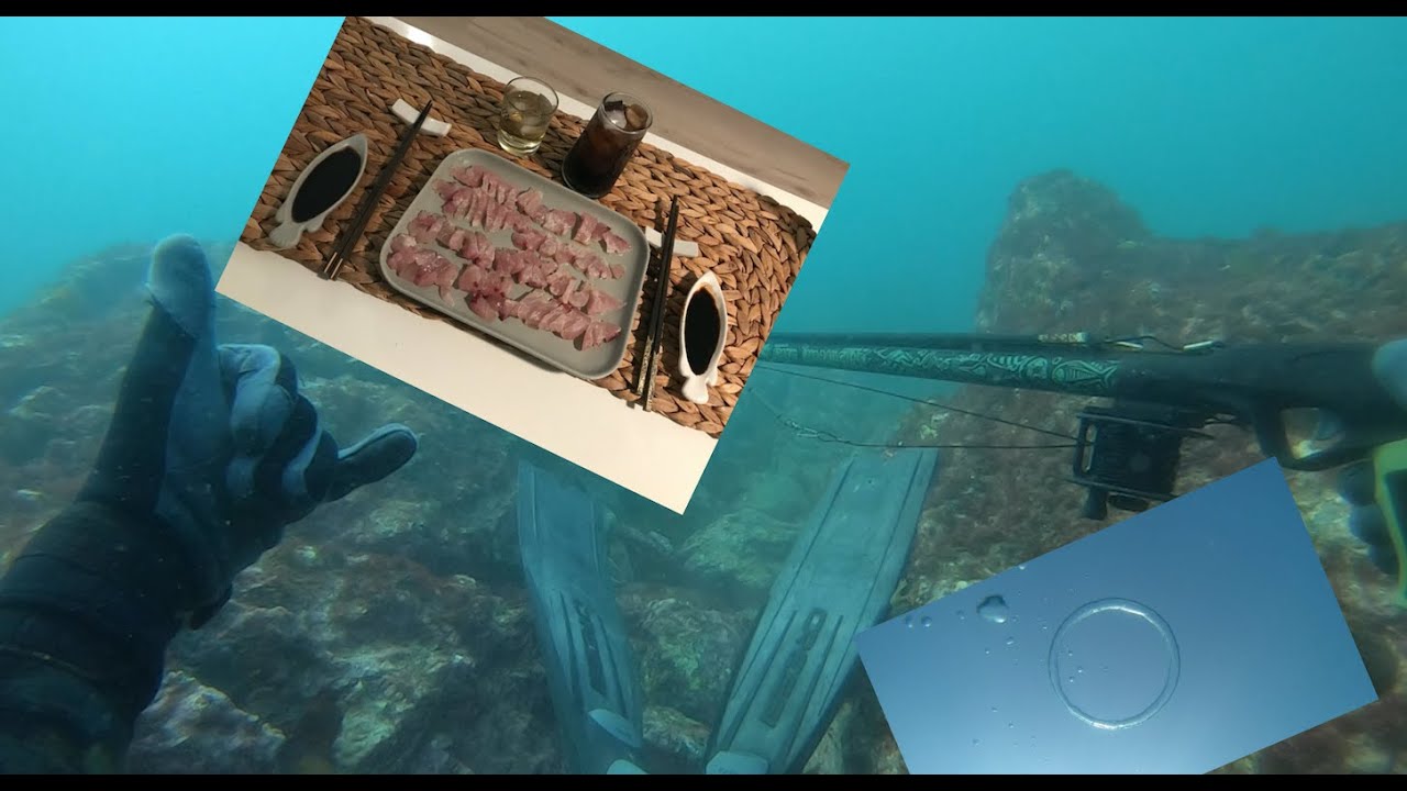 Kawau Island Spearfishing