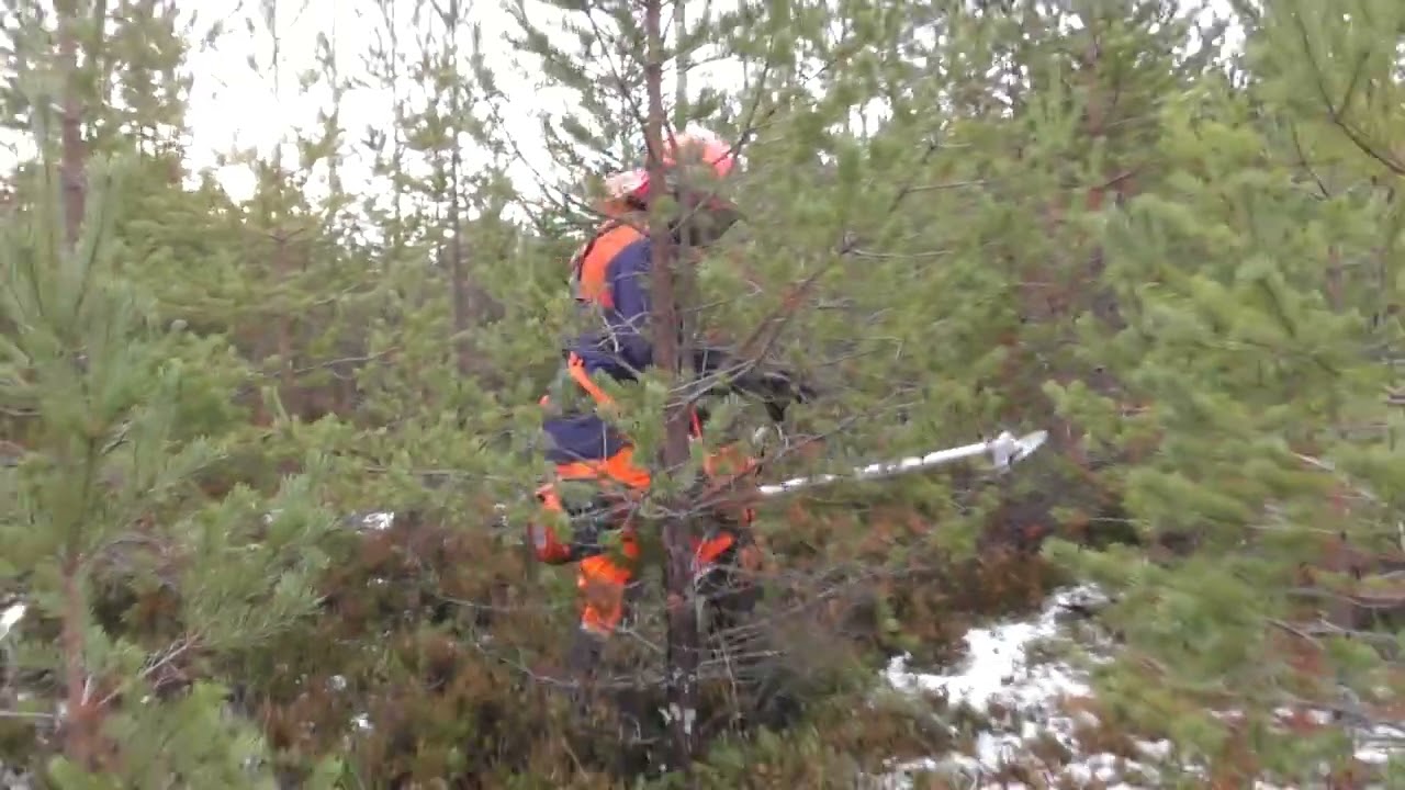 Att Jobba i Skogen - Del 1 - Skogsvårdsarbete