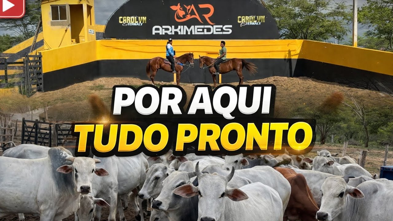 CAMINHANDO OS CAVALOS E CONHECENDO O PARQUE E A BOIADA